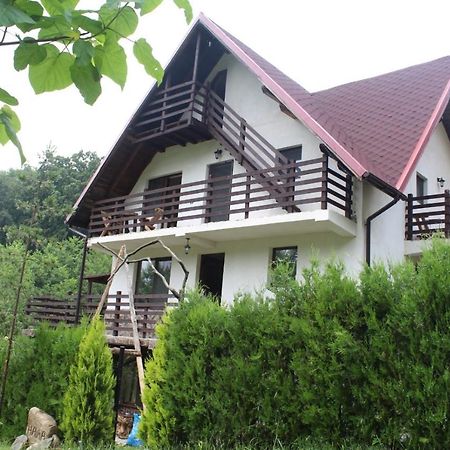 Hôtel Havva à Călimăneşti Extérieur photo