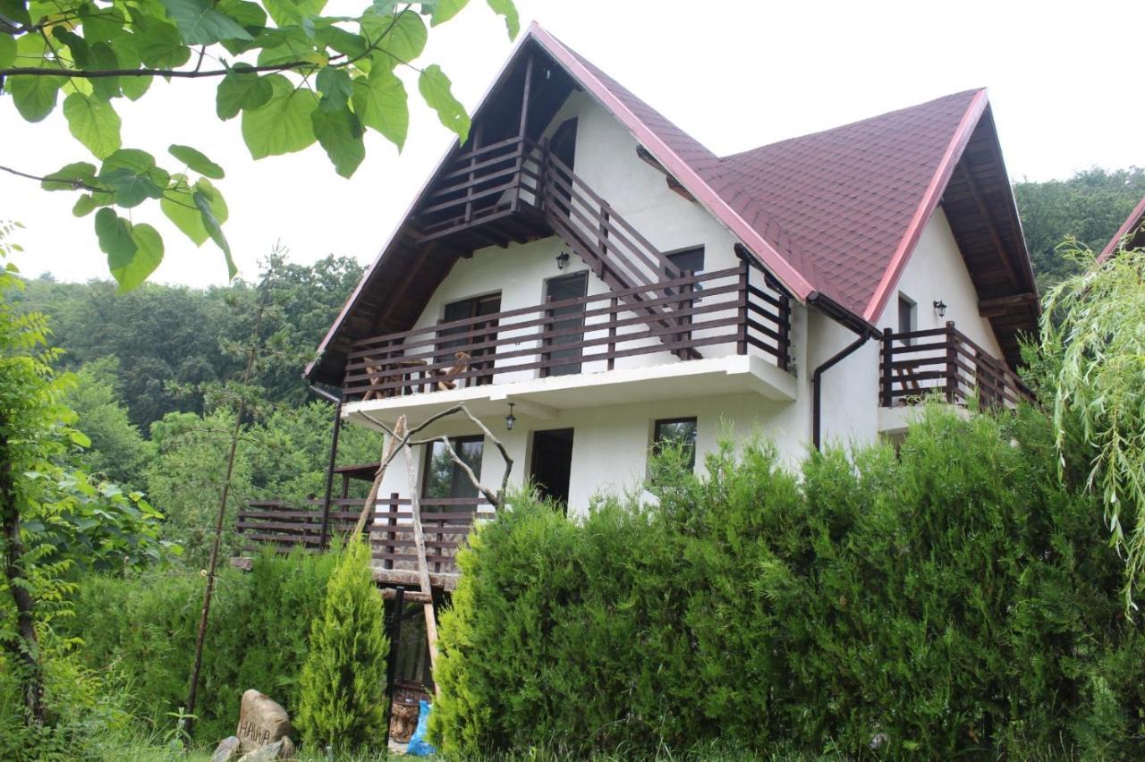 Hôtel Havva à Călimăneşti Extérieur photo