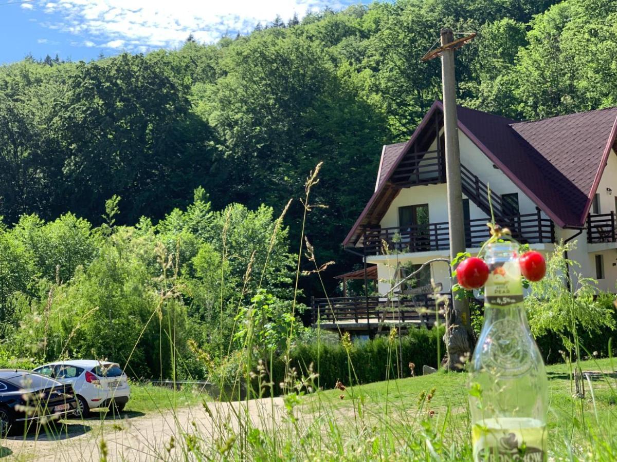 Hôtel Havva à Călimăneşti Extérieur photo