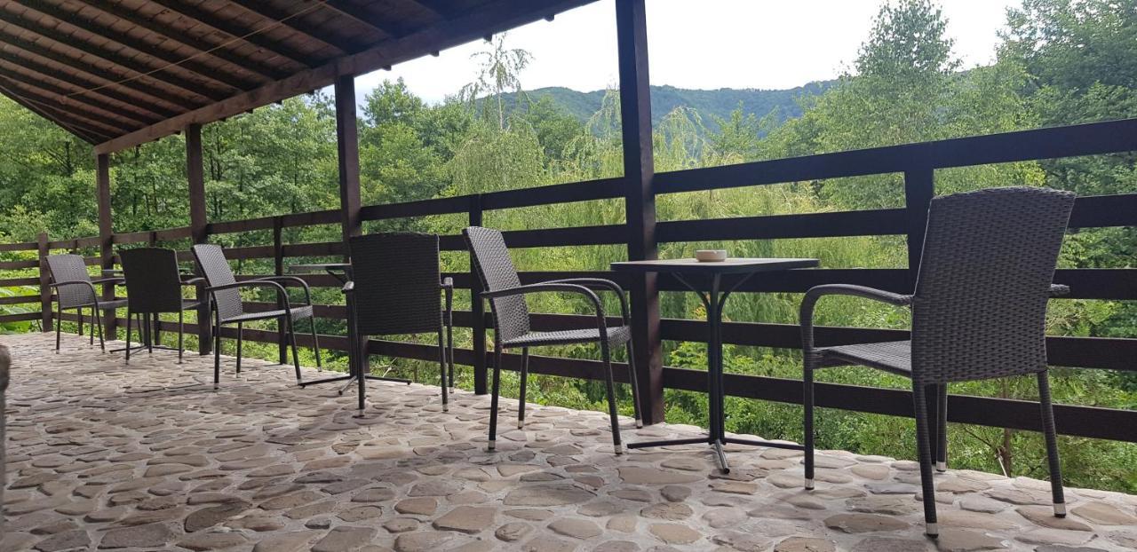 Hôtel Havva à Călimăneşti Extérieur photo